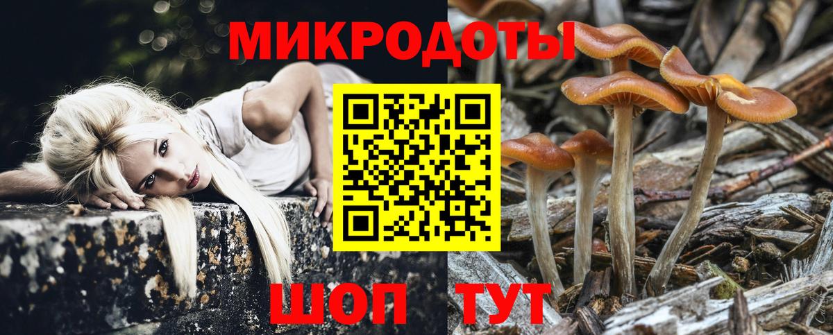 Муром  Псилоцибиновые грибы ЛСД  Псилоцибиновые грибы мухоморы  Вход с VPN 